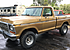 1979 Ford F150 4x4 Regular Cab for sale 100867828